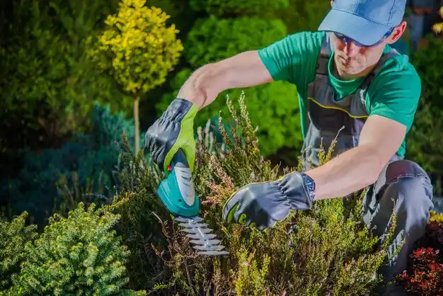 landscaping services Berea